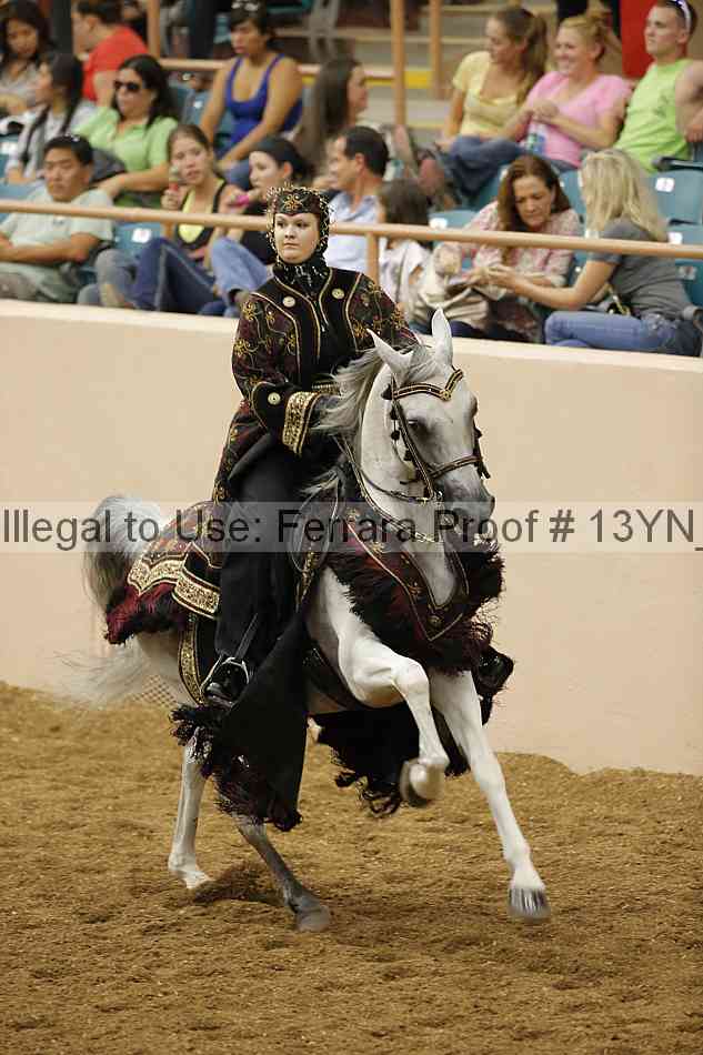 Proof 13yn_08657