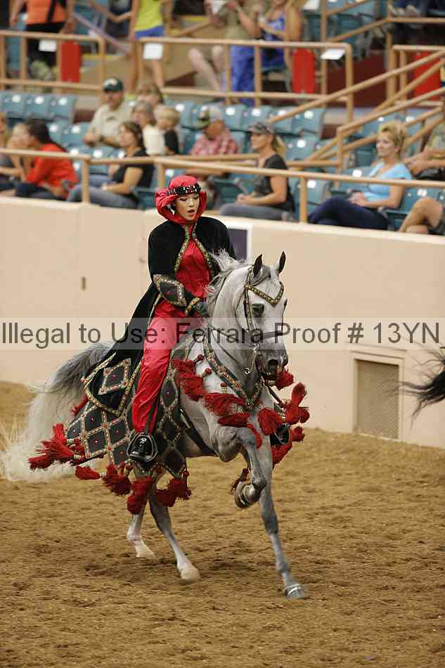 Proof 13yn_08659