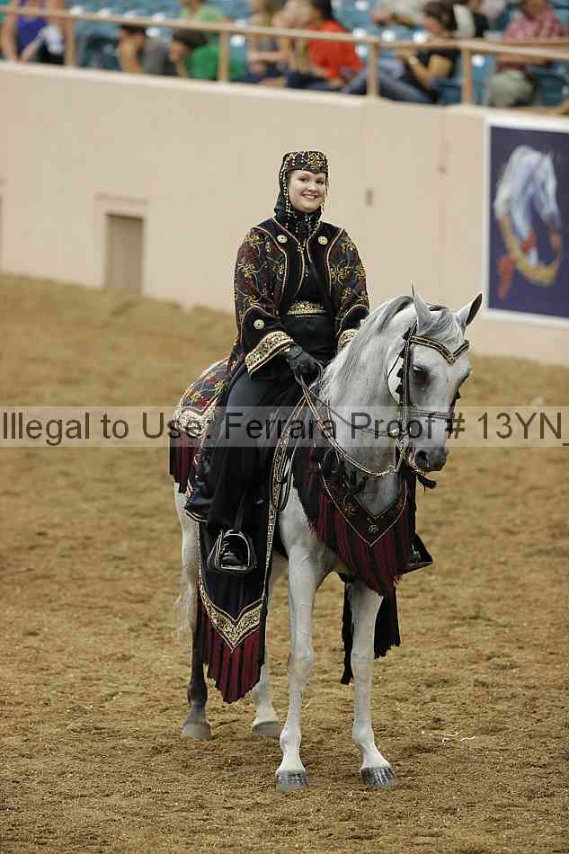 Proof 13yn_08661