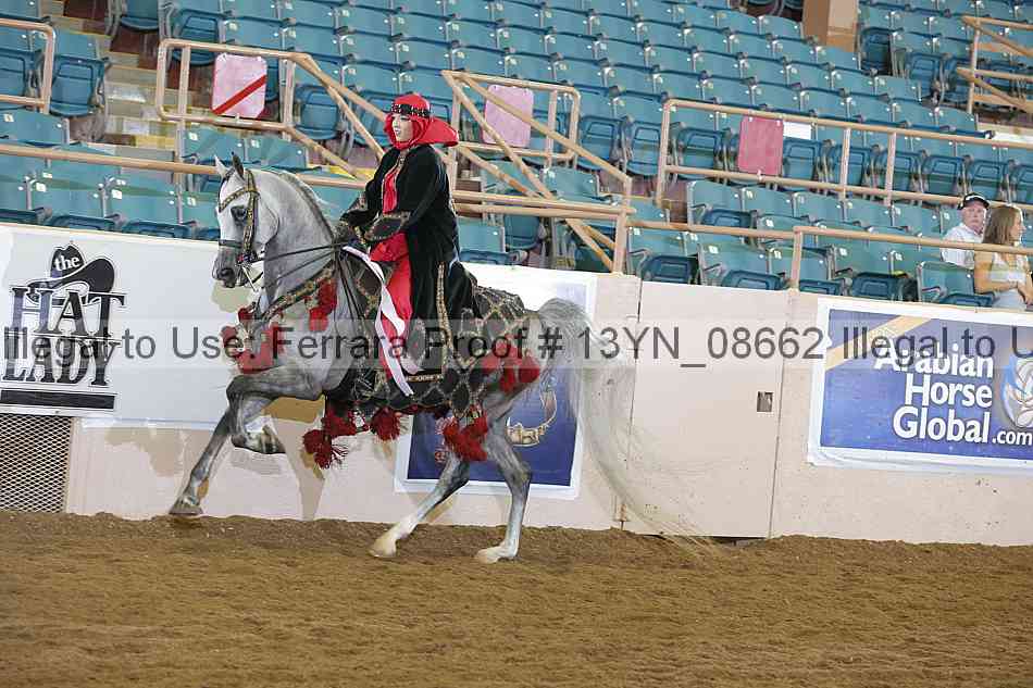 Proof 13yn_08662