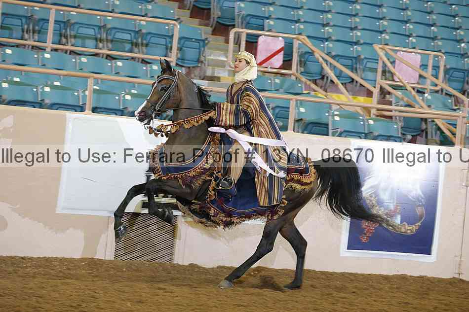 Proof 13yn_08670