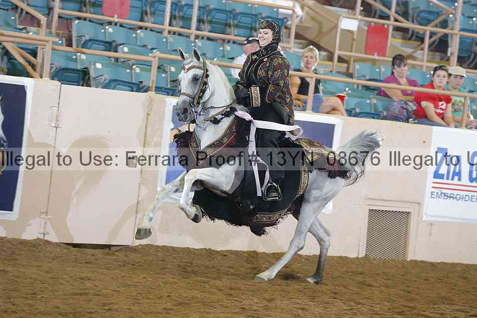 Proof 13yn_08676