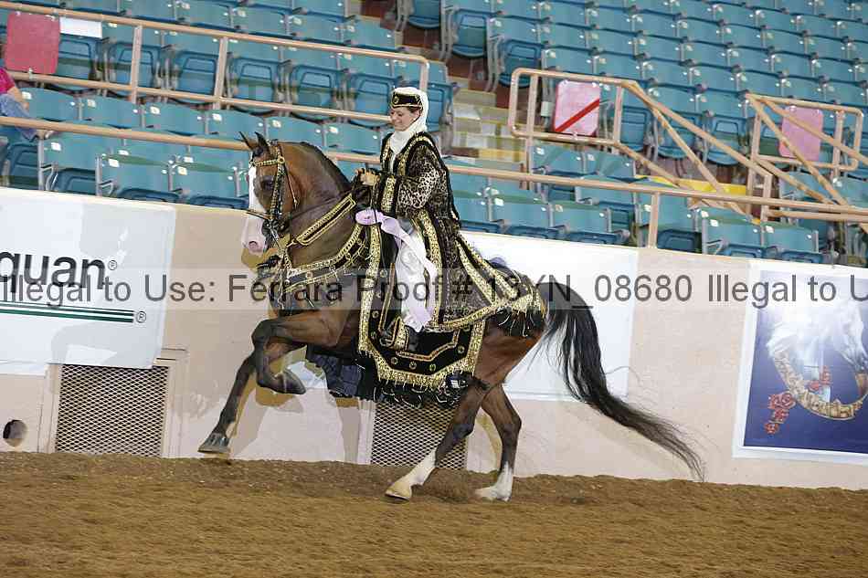 Proof 13yn_08680