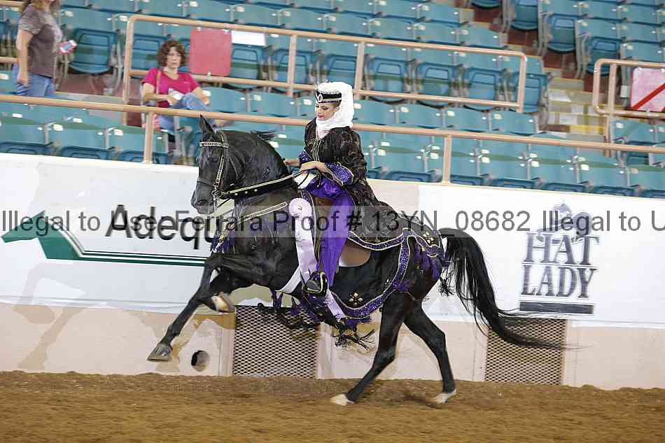 Proof 13yn_08682