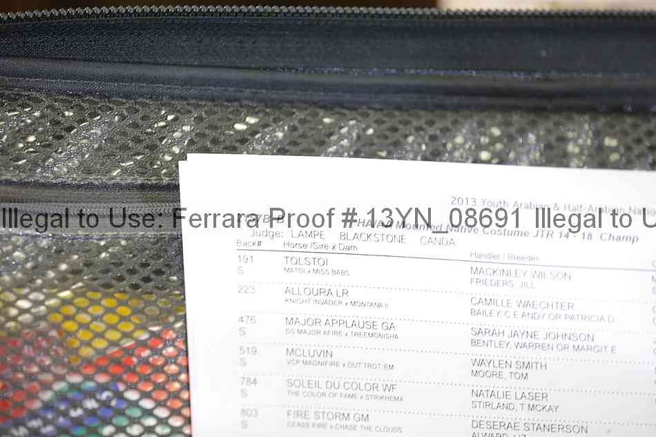 Proof 13yn_08691