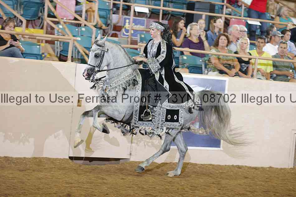 Proof 13yn_08702