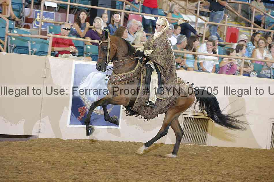 Proof 13yn_08705