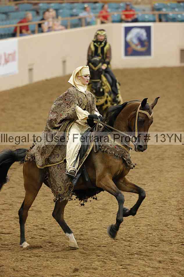 Proof 13yn_08706