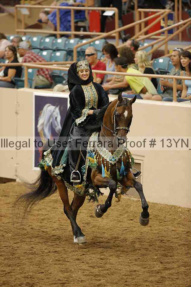 Proof 13yn_08739