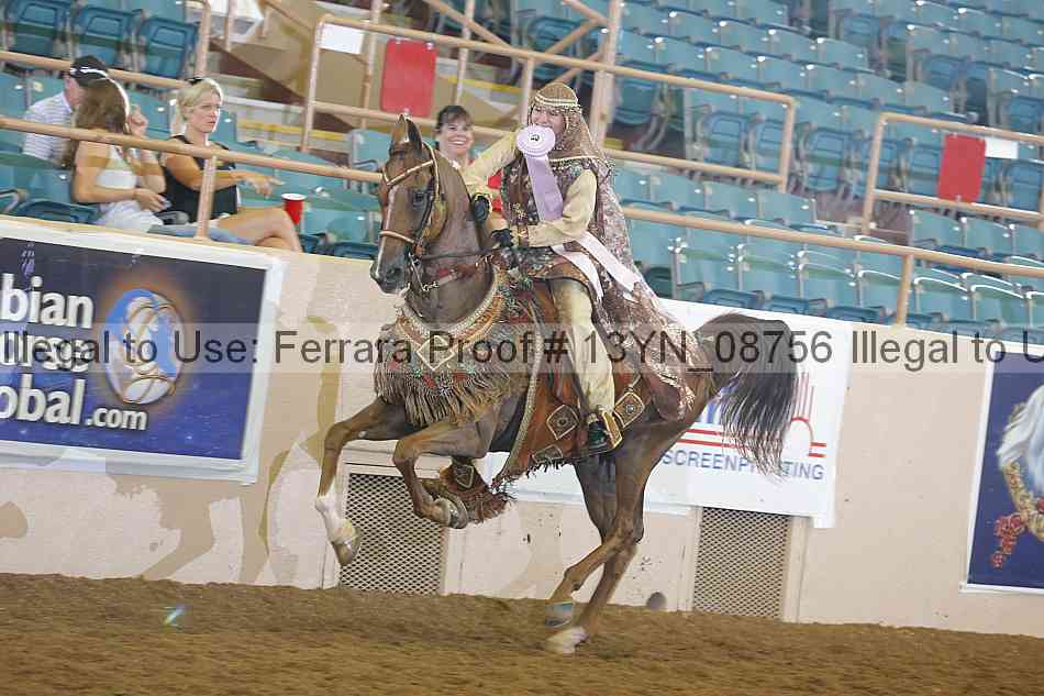Proof 13yn_08756