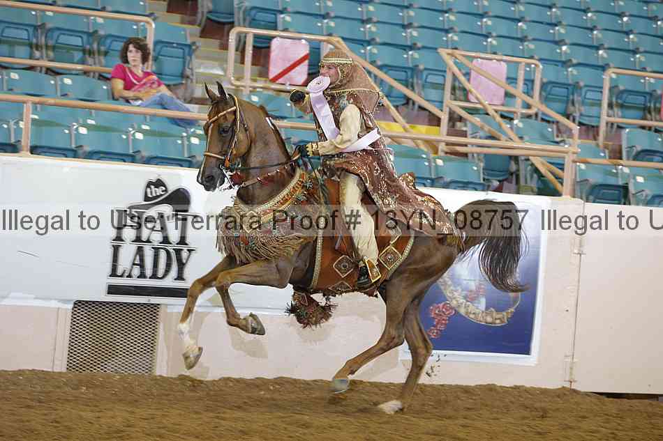 Proof 13yn_08757
