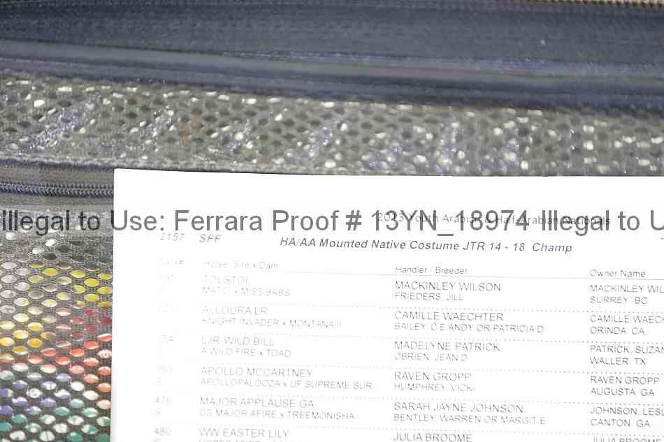 Proof 13yn_18974