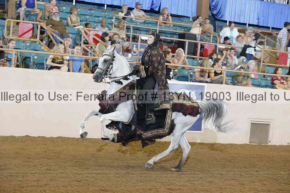 Proof 13yn_19003