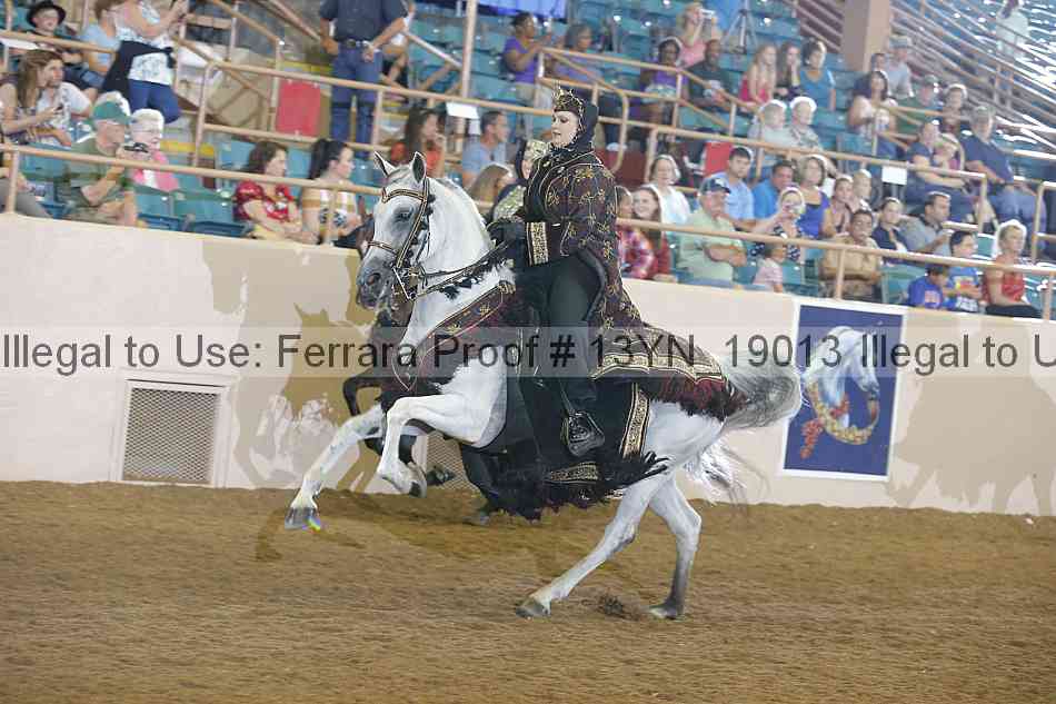 Proof 13yn_19013