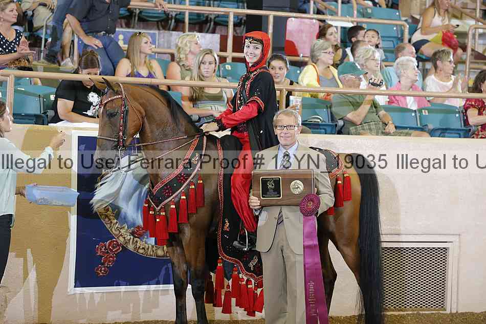 Proof 13yn_19035
