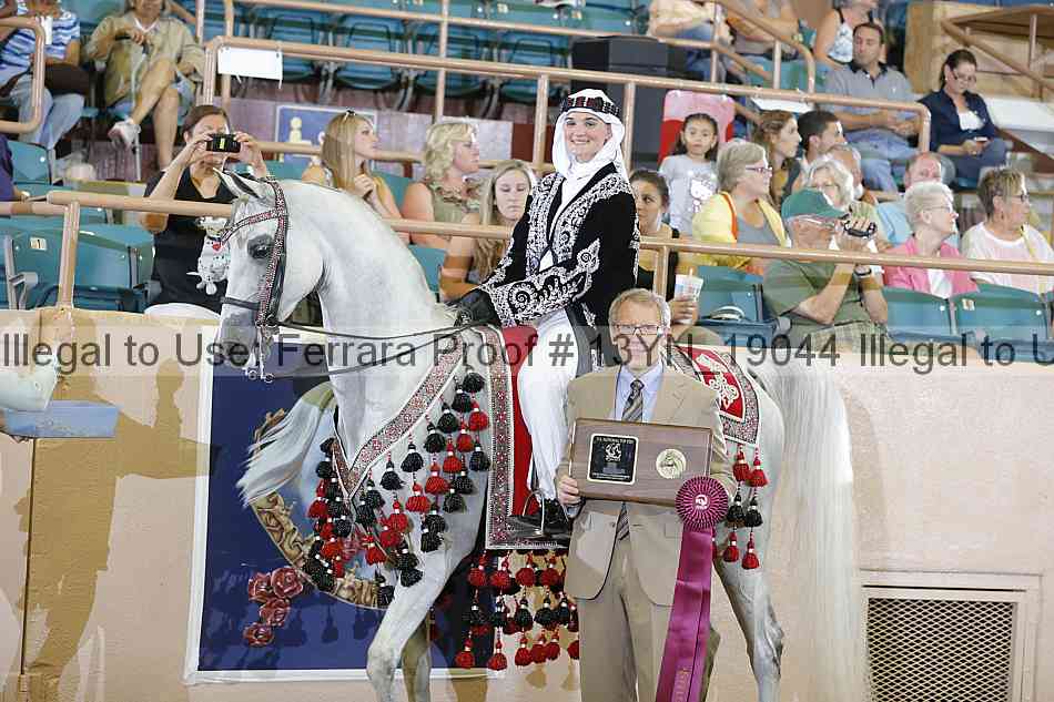 Proof 13yn_19044