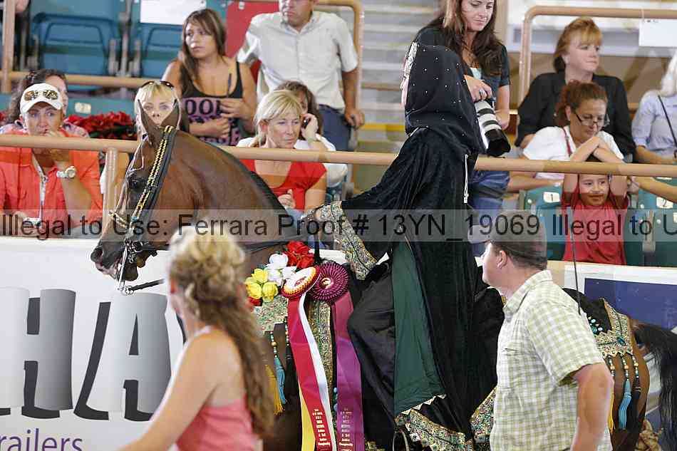 Proof 13yn_19069