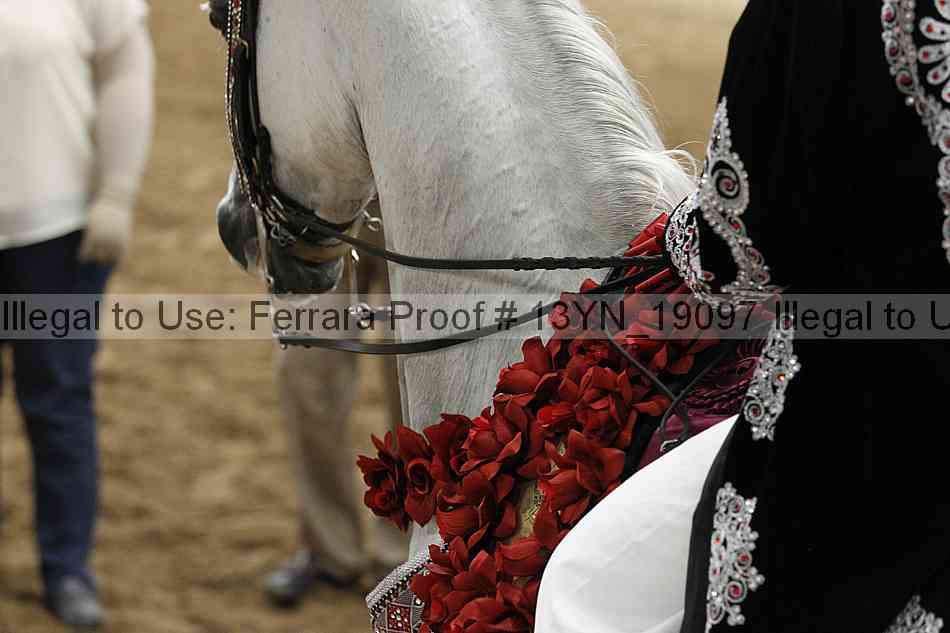Proof 13yn_19097
