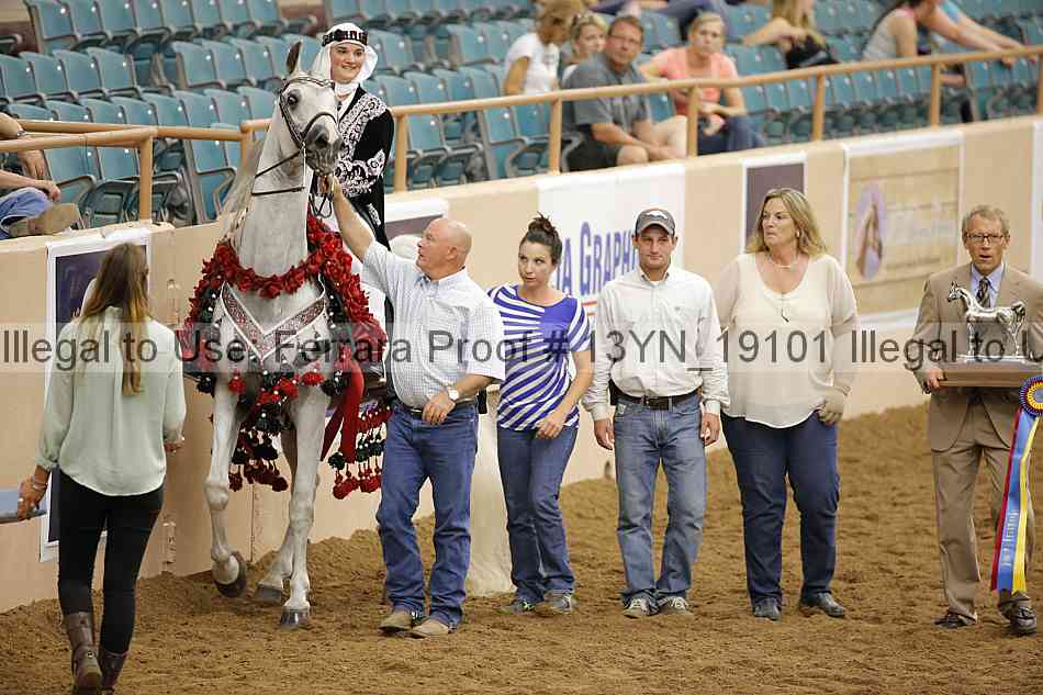 Proof 13yn_19101