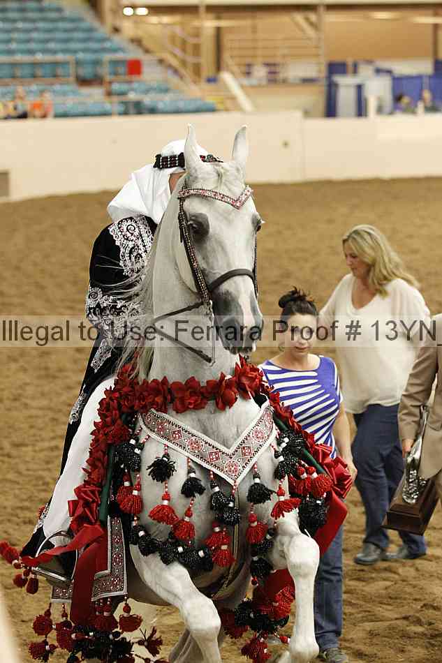 Proof 13yn_19105