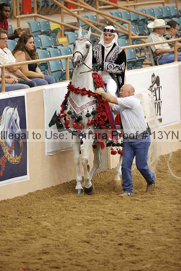 Proof 13yn_19109
