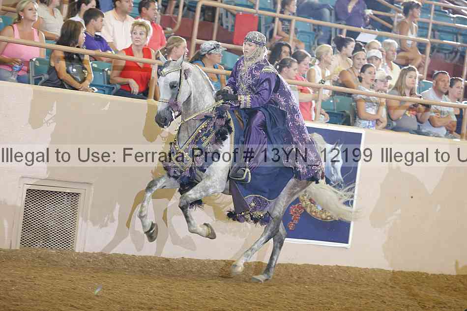 Proof 13yn_12199