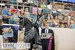 13yn_12261 proof