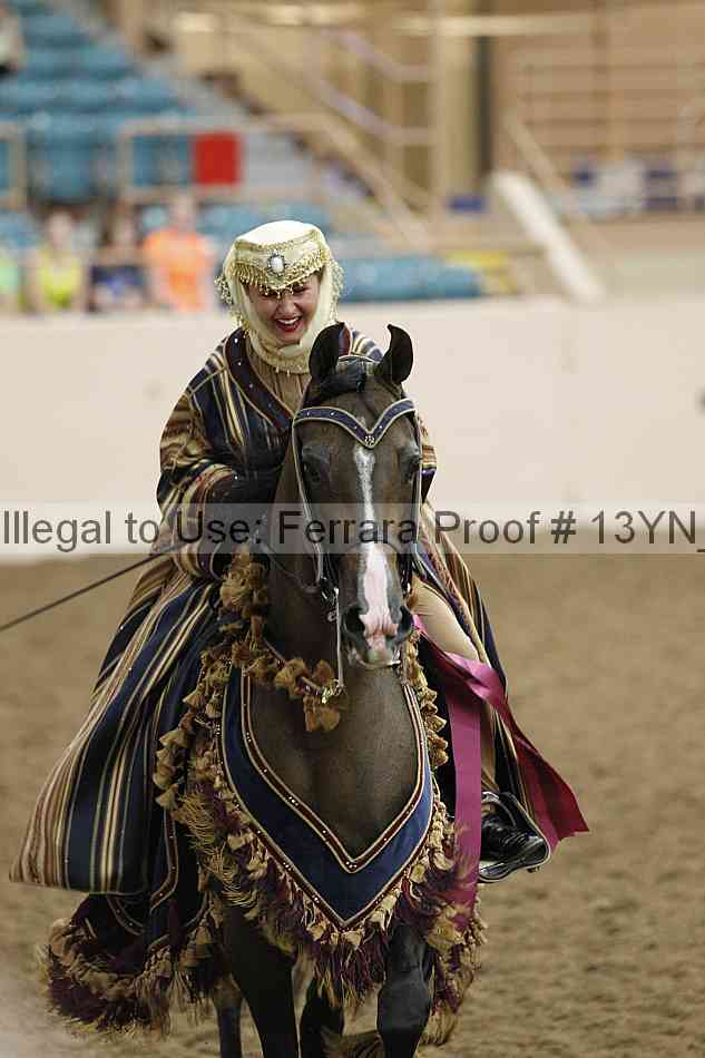 Proof 13yn_12305
