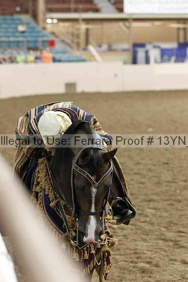 Proof 13yn_12307