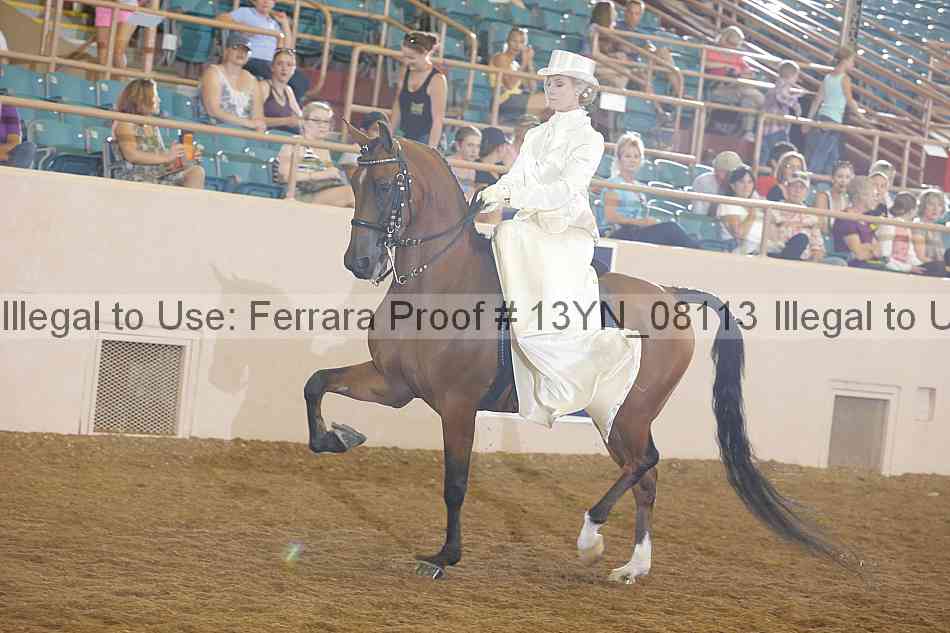 Proof 13yn_08113