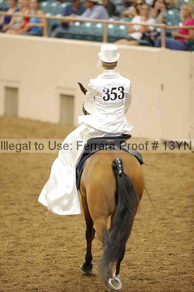 Proof 13yn_08114