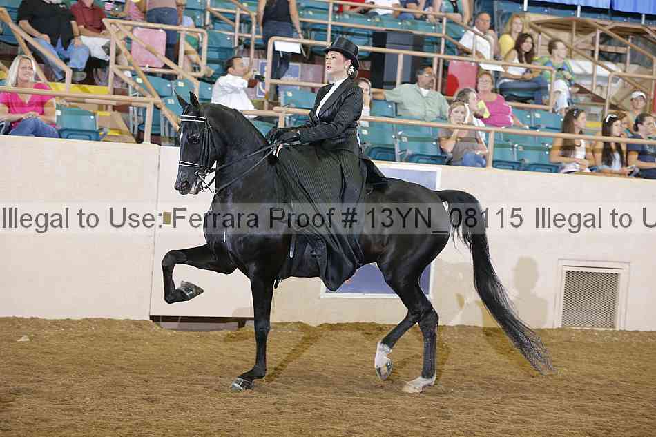Proof 13yn_08115