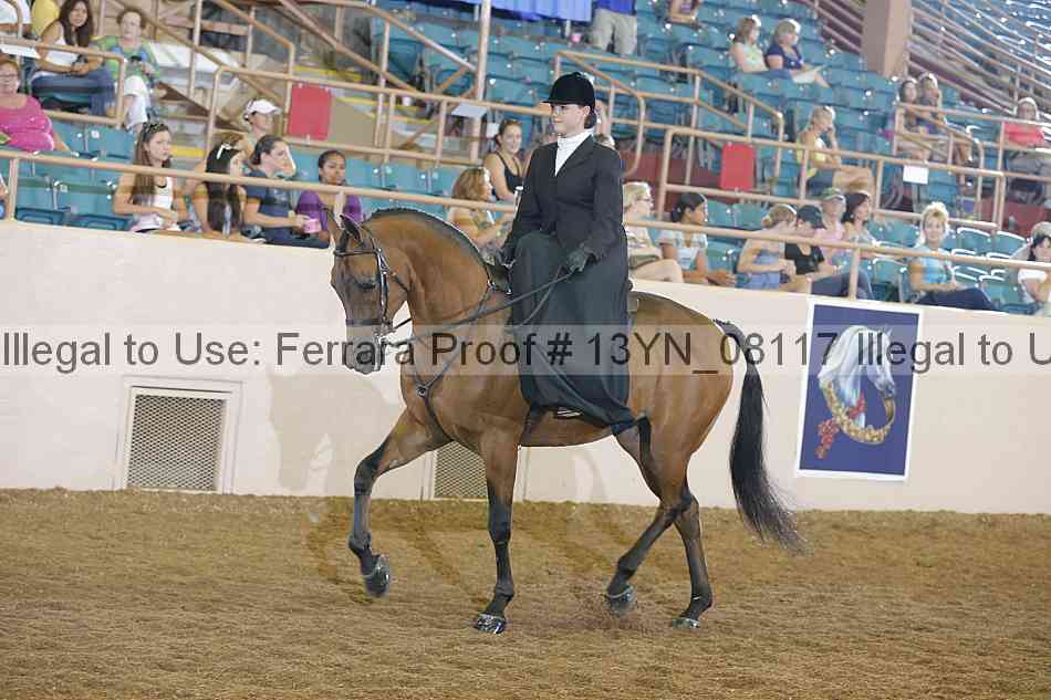 Proof 13yn_08117