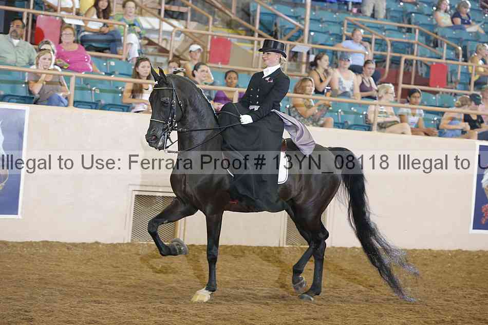 Proof 13yn_08118