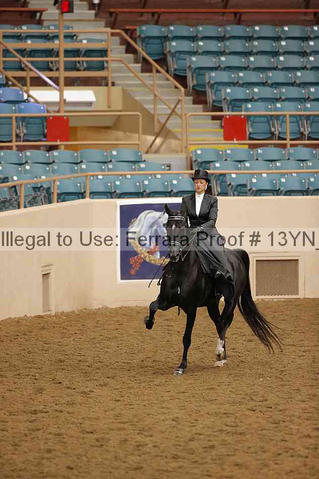 Proof 13yn_08119