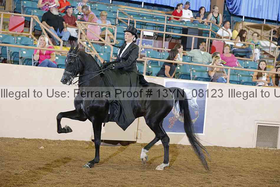 Proof 13yn_08123