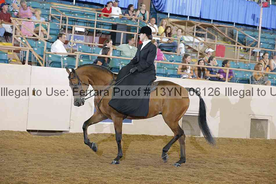 Proof 13yn_08126