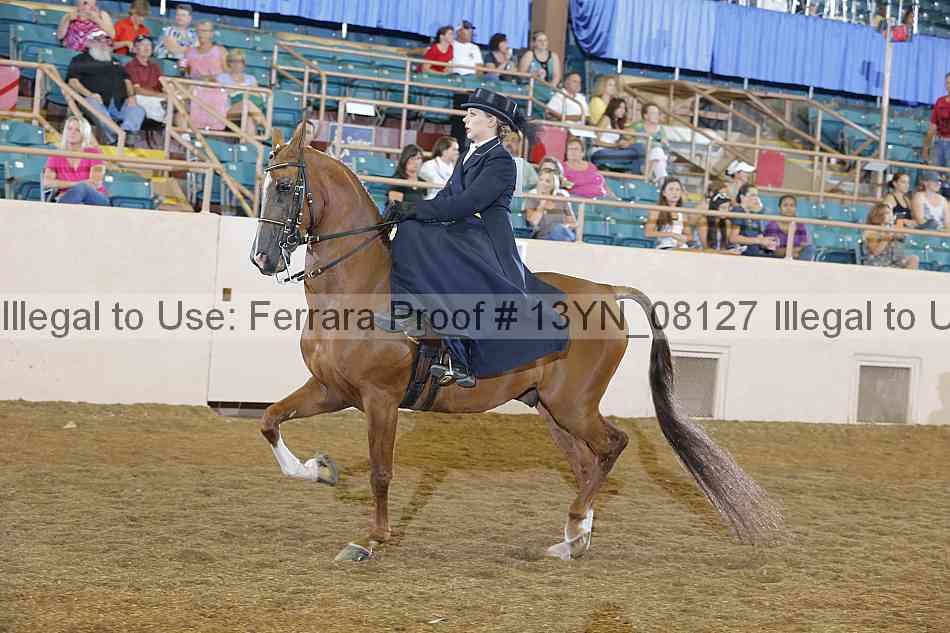 Proof 13yn_08127