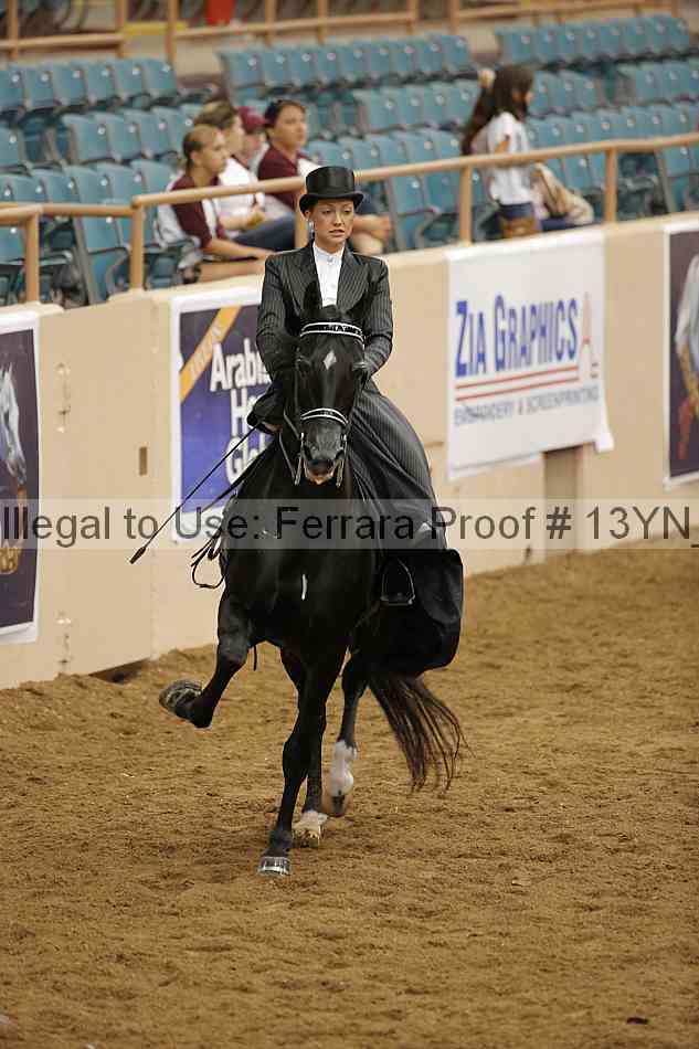 Proof 13yn_08128