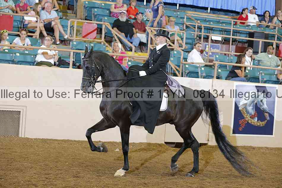 Proof 13yn_08134