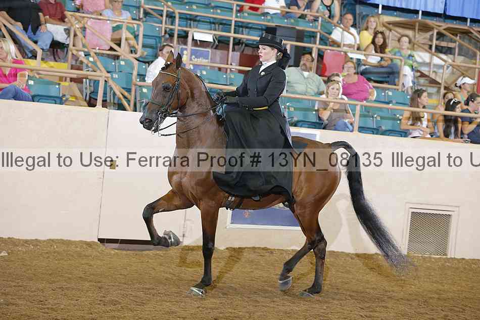 Proof 13yn_08135