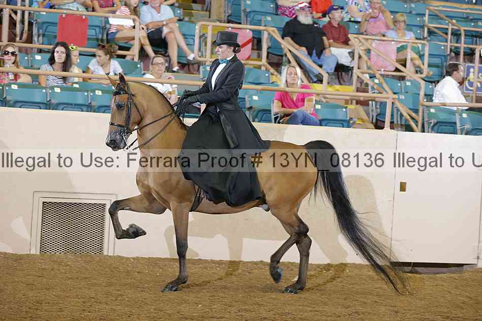 Proof 13yn_08136