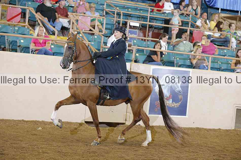 Proof 13yn_08138