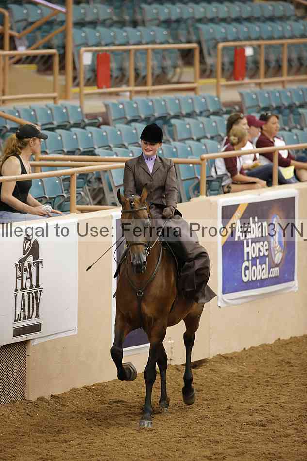 Proof 13yn_08139