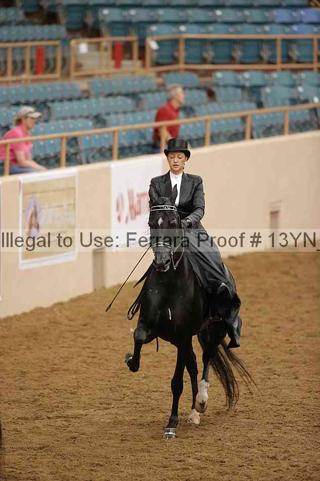 Proof 13yn_08141