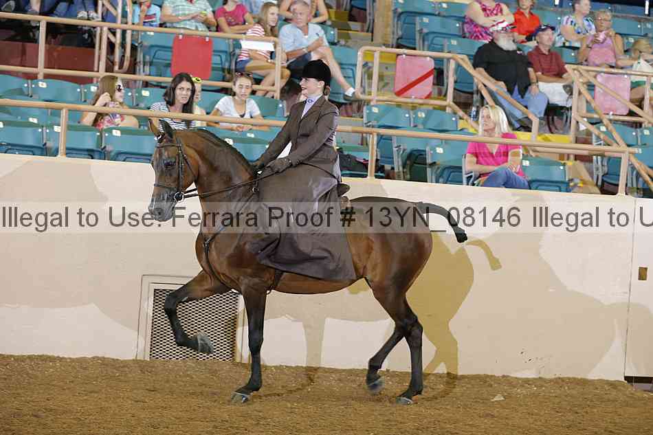 Proof 13yn_08146