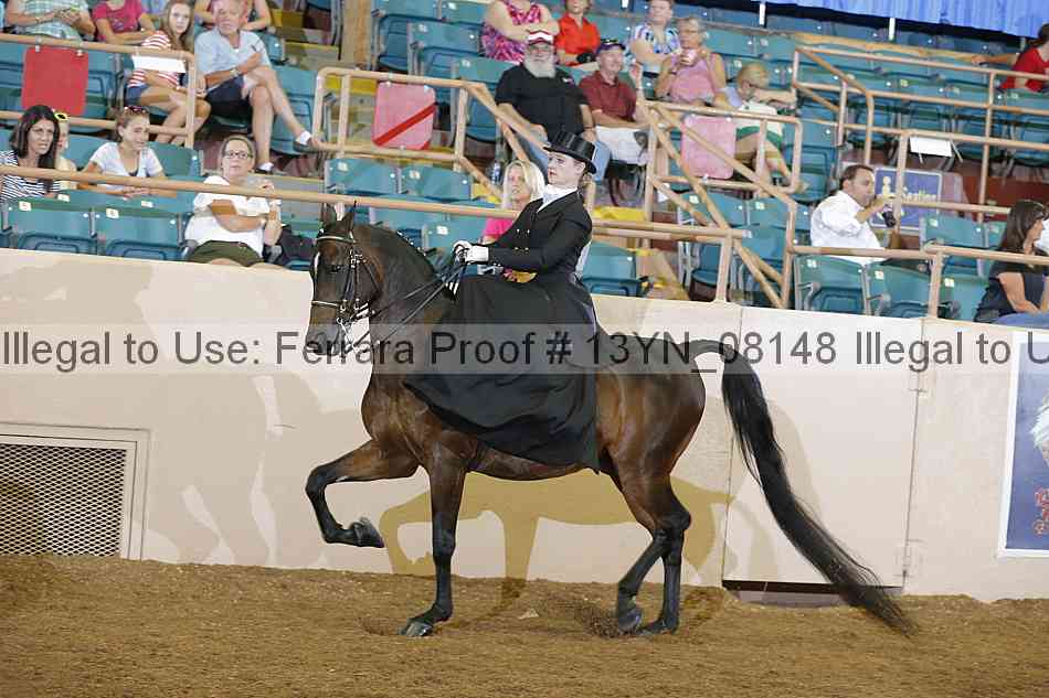 Proof 13yn_08148