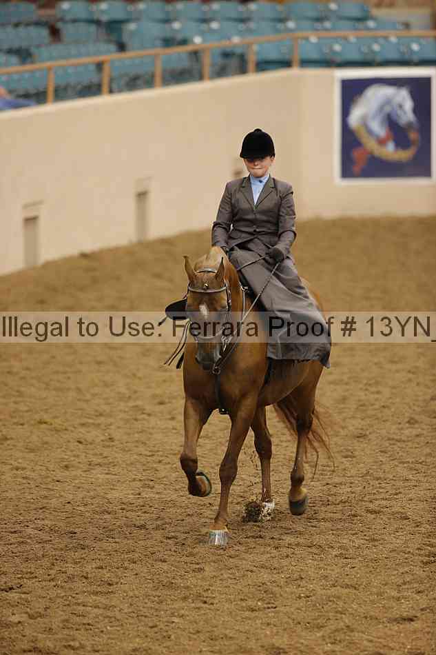 Proof 13yn_08150