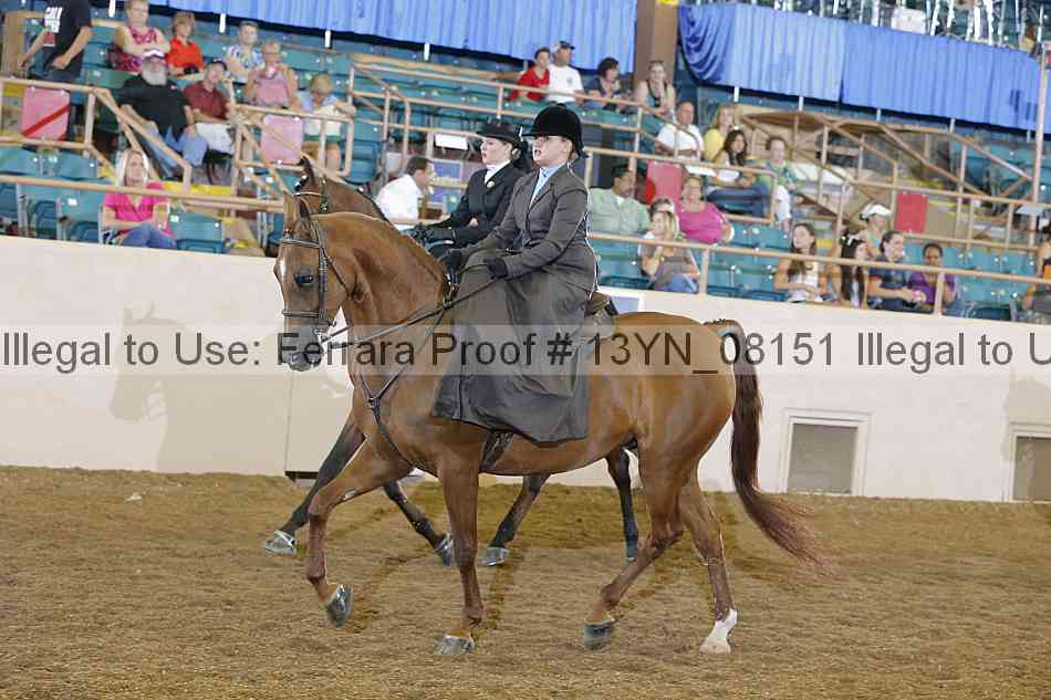 Proof 13yn_08151
