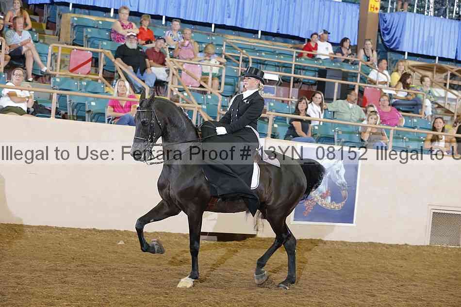 Proof 13yn_08152